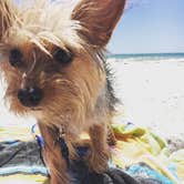 Review photo of Fort De Soto Campground by Alyssa D., May 31, 2020