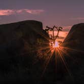 Review photo of Jumbo Rocks Campground — Joshua Tree National Park by Tara S., October 5, 2017