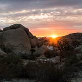 Review photo of Jumbo Rocks Campground — Joshua Tree National Park by Tara S., October 5, 2017