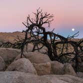 Review photo of Jumbo Rocks Campground — Joshua Tree National Park by Tara S., October 5, 2017