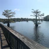 Review photo of South Campground — Chicot State Park by Ashley S., October 5, 2017
