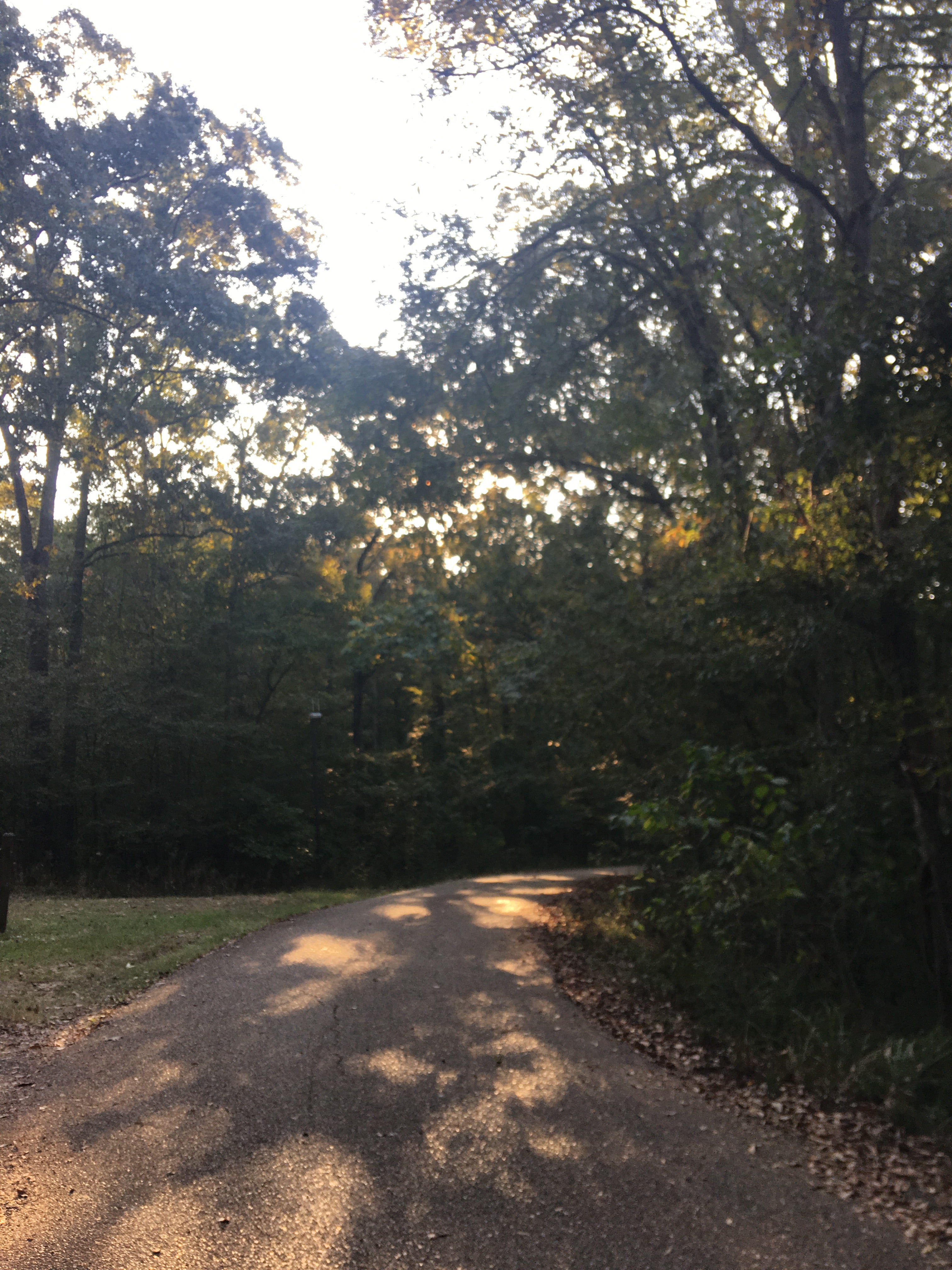 Camper submitted image from South Campground — Chicot State Park - 5