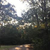 Review photo of South Campground — Chicot State Park by Ashley S., October 5, 2017