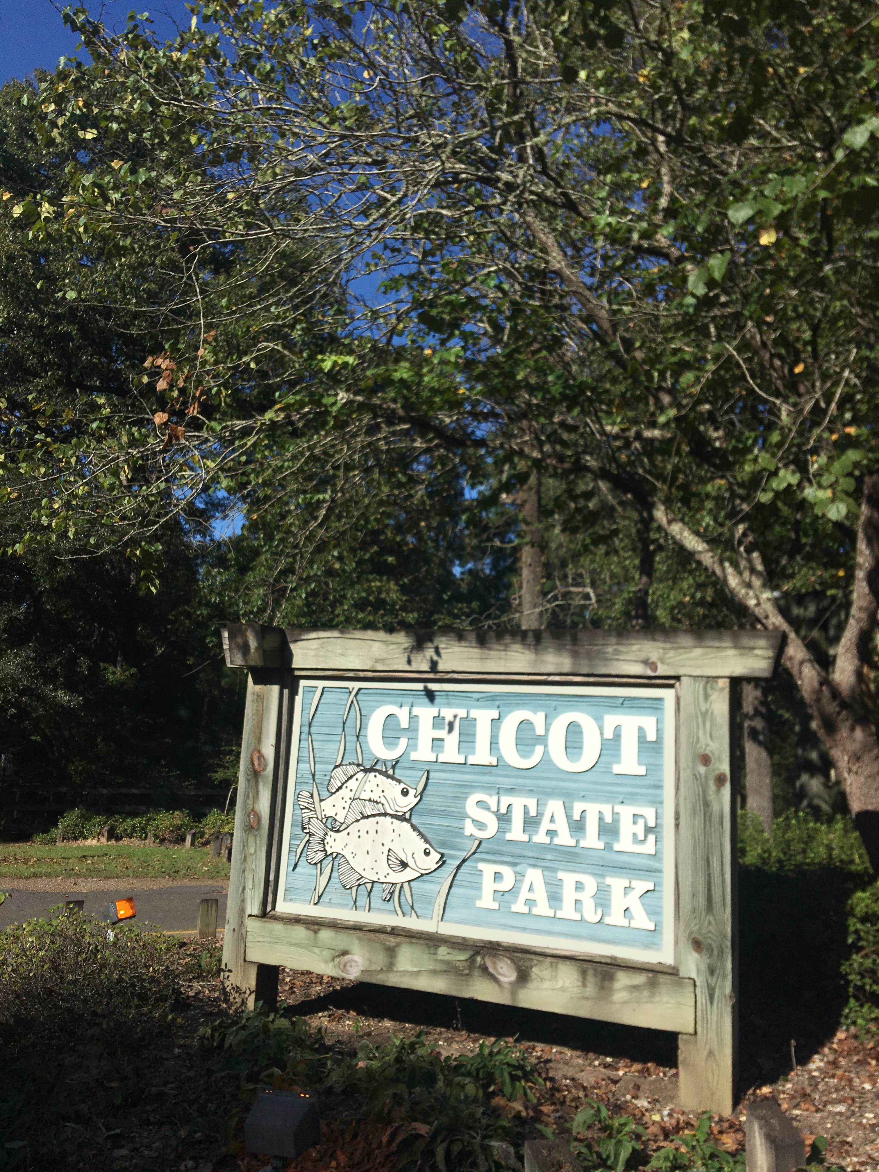 Camper submitted image from South Campground — Chicot State Park - 5