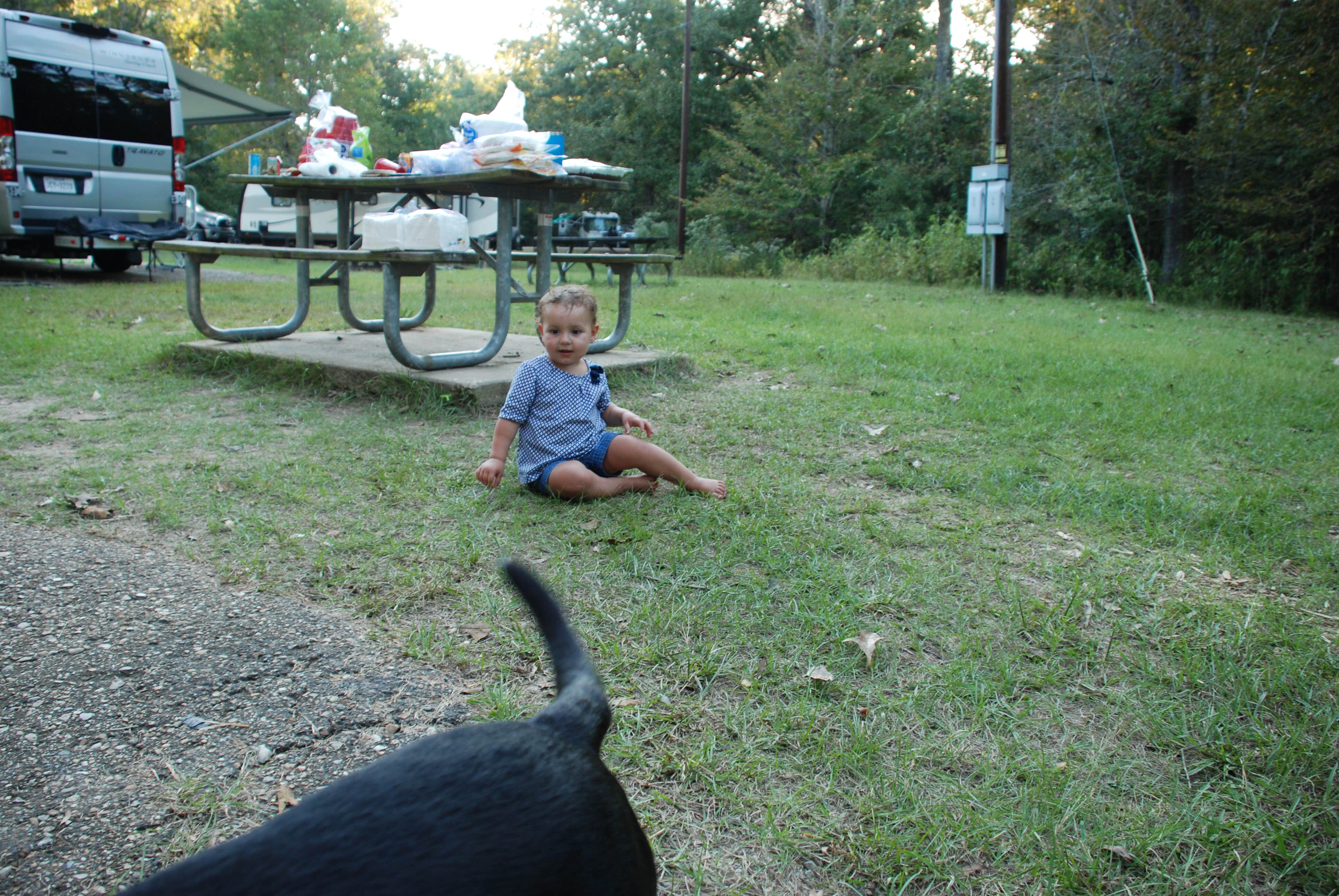 Camper submitted image from South Campground — Chicot State Park - 3