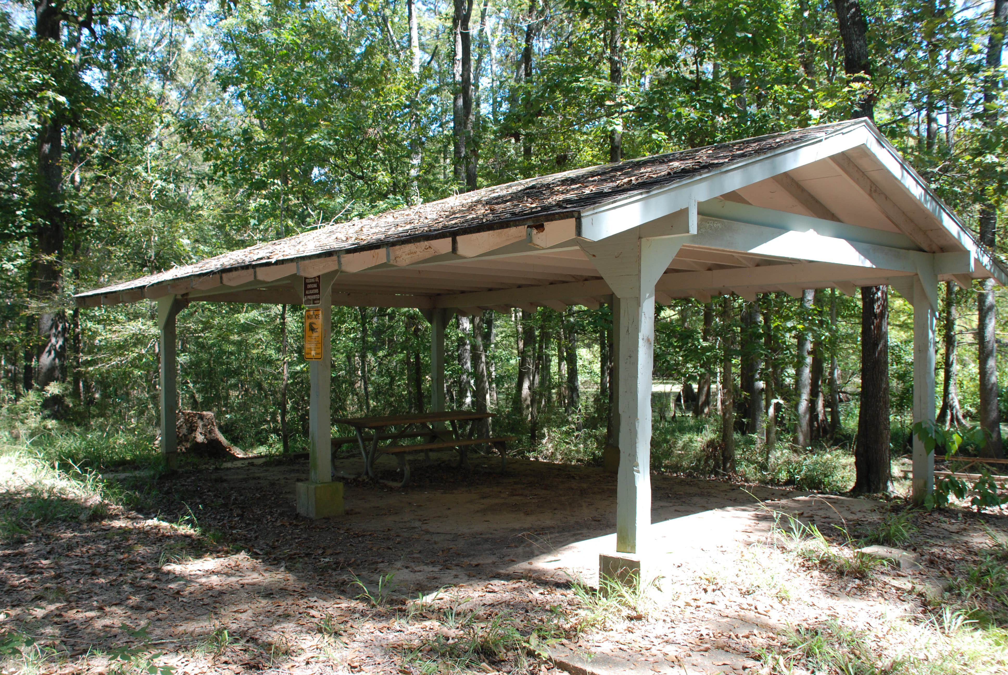 Camper submitted image from South Campground — Chicot State Park - 3