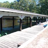 Review photo of South Campground — Chicot State Park by Ashley S., October 5, 2017