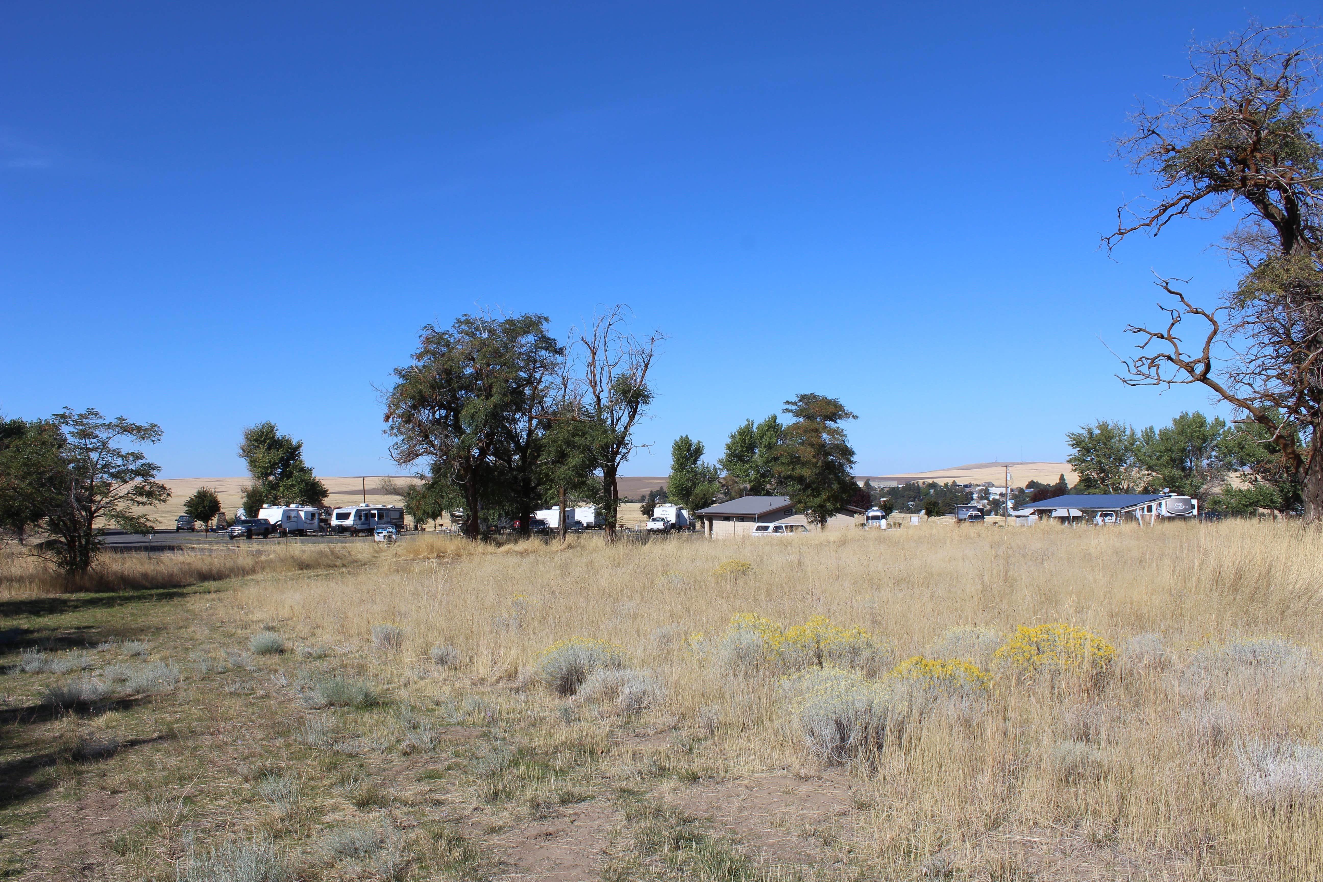 Camper-submitted photo at Sherman County RV Park near Moro, OR