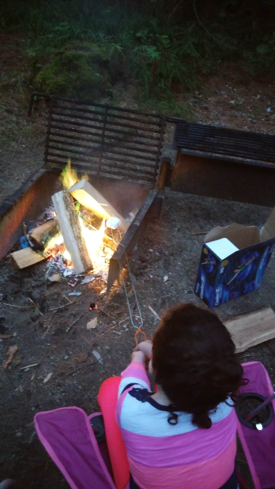 Camper submitted image from Passaconaway Campground - 2