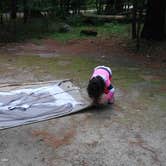 Review photo of Passaconaway Campground by J. W., October 6, 2017