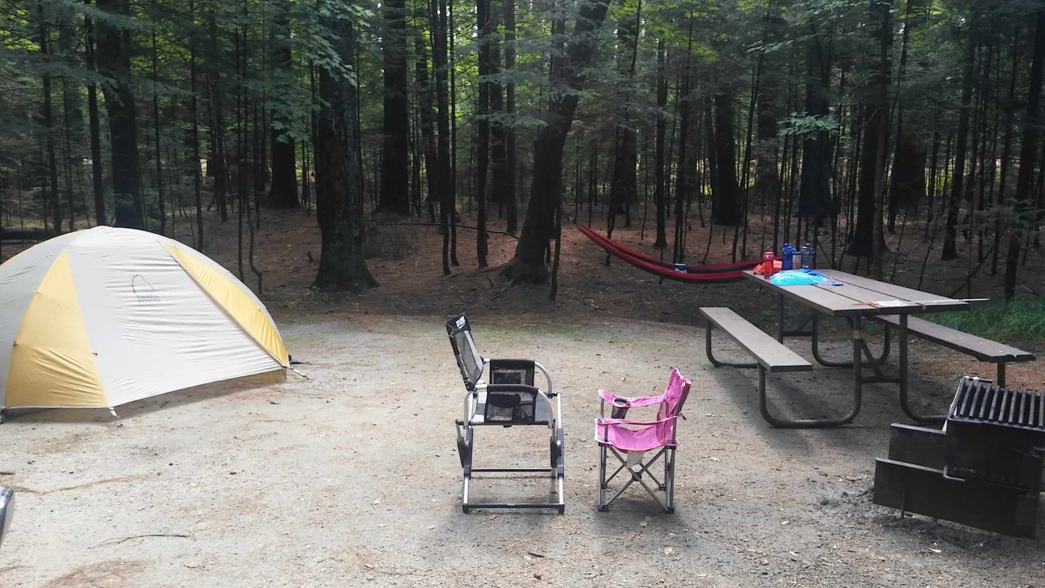Camper submitted image from Passaconaway Campground - 4