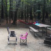 Review photo of Passaconaway Campground by J. W., October 6, 2017