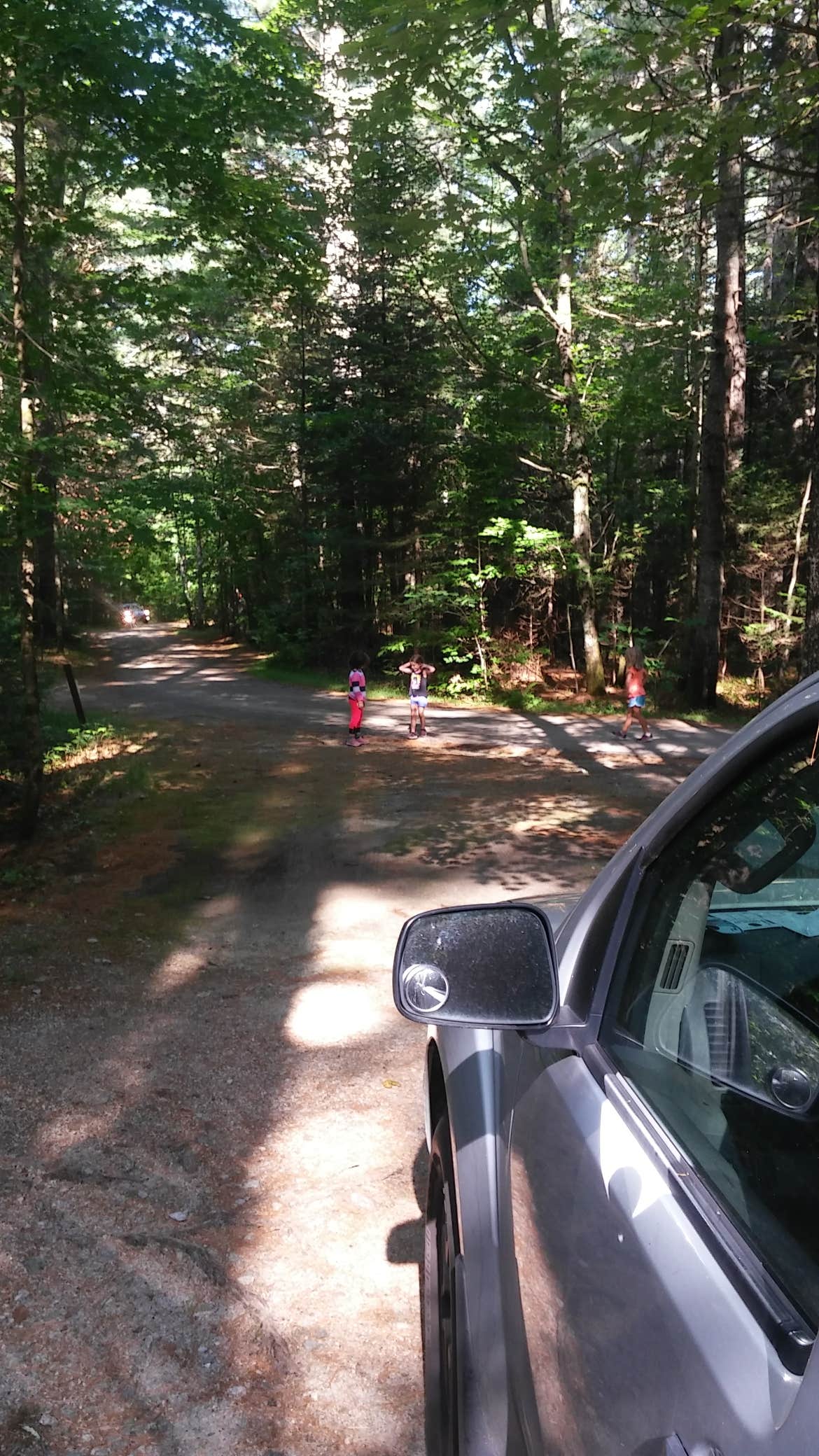 Camper submitted image from Passaconaway Campground - 4