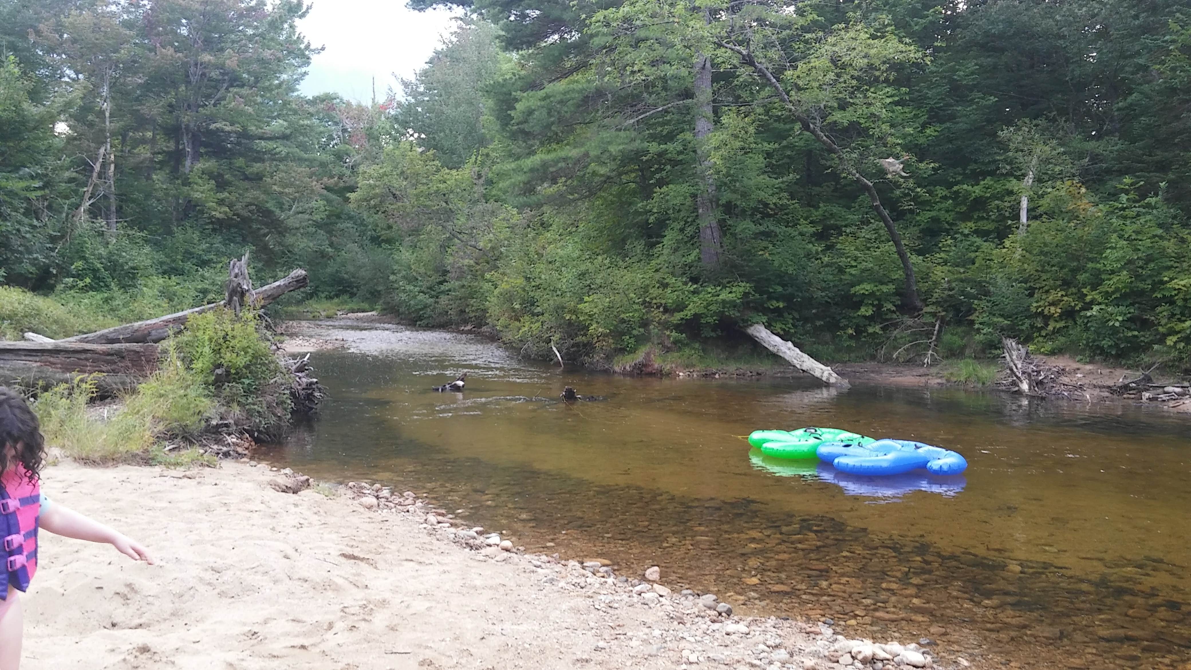 Camper submitted image from Passaconaway Campground - 5