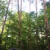 Review photo of Wilderness Road Campground by Jami C., October 7, 2017