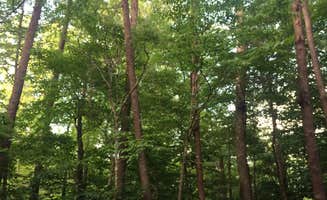 Jami C.'s photo at Wilderness Road - Cumberland Gap National Historic Park in Kentucky