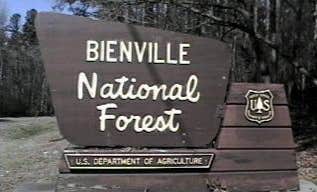 Camping near Bienville National Forest Marathon Lake: Shockaloe Base Camp I Camping, Bienville National Forest, Mississippi