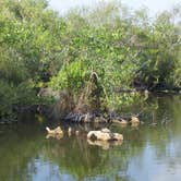 Review photo of John Pennekamp Coral Reef State Park Campground by Amber A., July 1, 2016