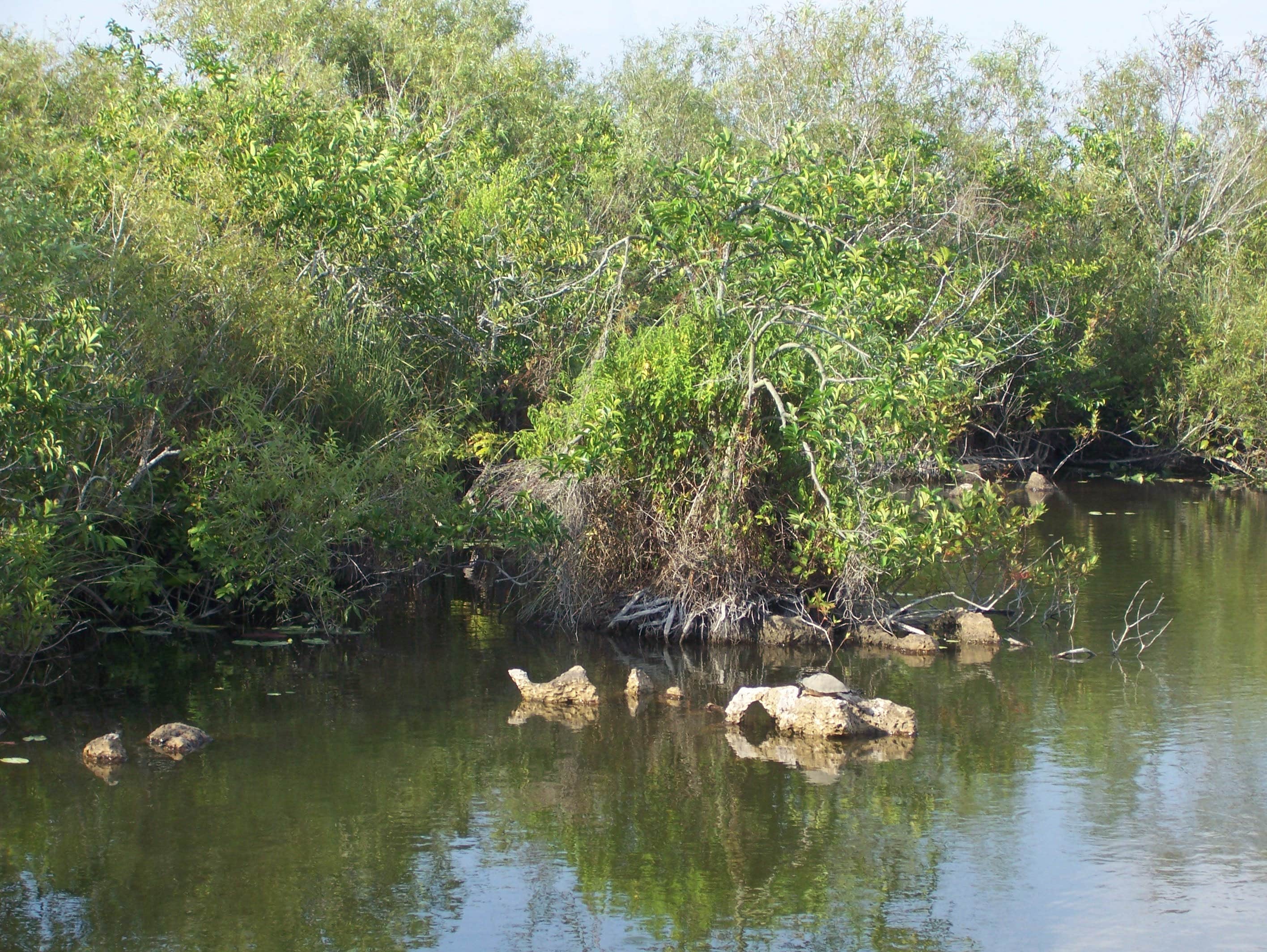 Camper submitted image from John Pennekamp Coral Reef State Park Campground - 3