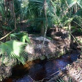 Review photo of Alafia River State Park Campground by Elizabeth G., October 8, 2017