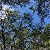 Review photo of Alafia River State Park Campground by Elizabeth G., October 8, 2017