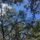 Review photo of Alafia River State Park Campground by Elizabeth G., October 8, 2017