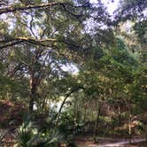 Review photo of Alafia River State Park Campground by Elizabeth G., October 8, 2017