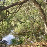 Review photo of Alafia River State Park Campground by Elizabeth G., October 8, 2017