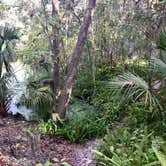 Review photo of Alafia River State Park Campground by Elizabeth G., October 8, 2017
