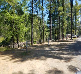 Camper-submitted photo from Indian Lake Islands Campground