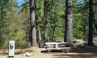 Camping near Turtle Island (Lake George): Lake George Riverview Campground, Warrensburg, New York