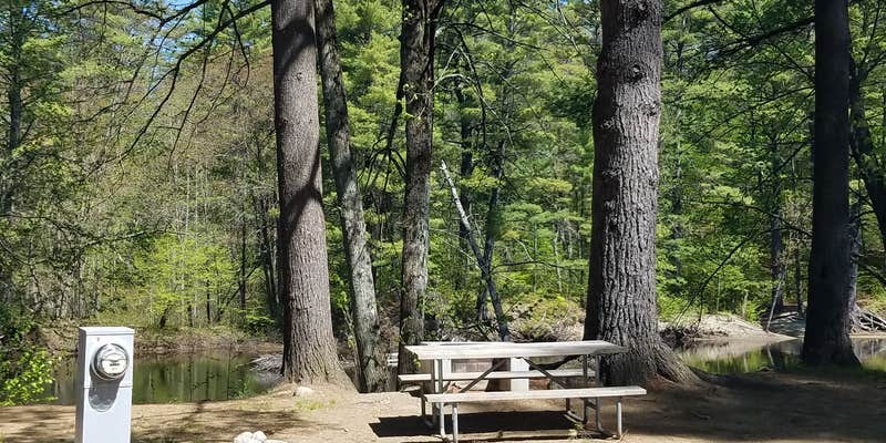 Camper submitted image from Lake George Riverview Campground