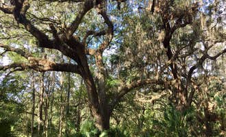Camping near Lithia Springs Conservation Park: Alafia River State Park Campground, Lithia, Florida