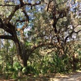 Review photo of Alafia River State Park Campground by Elizabeth G., October 8, 2017