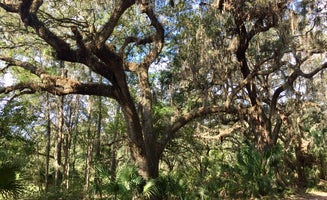 Camper-submitted photo from Alafia River State Park