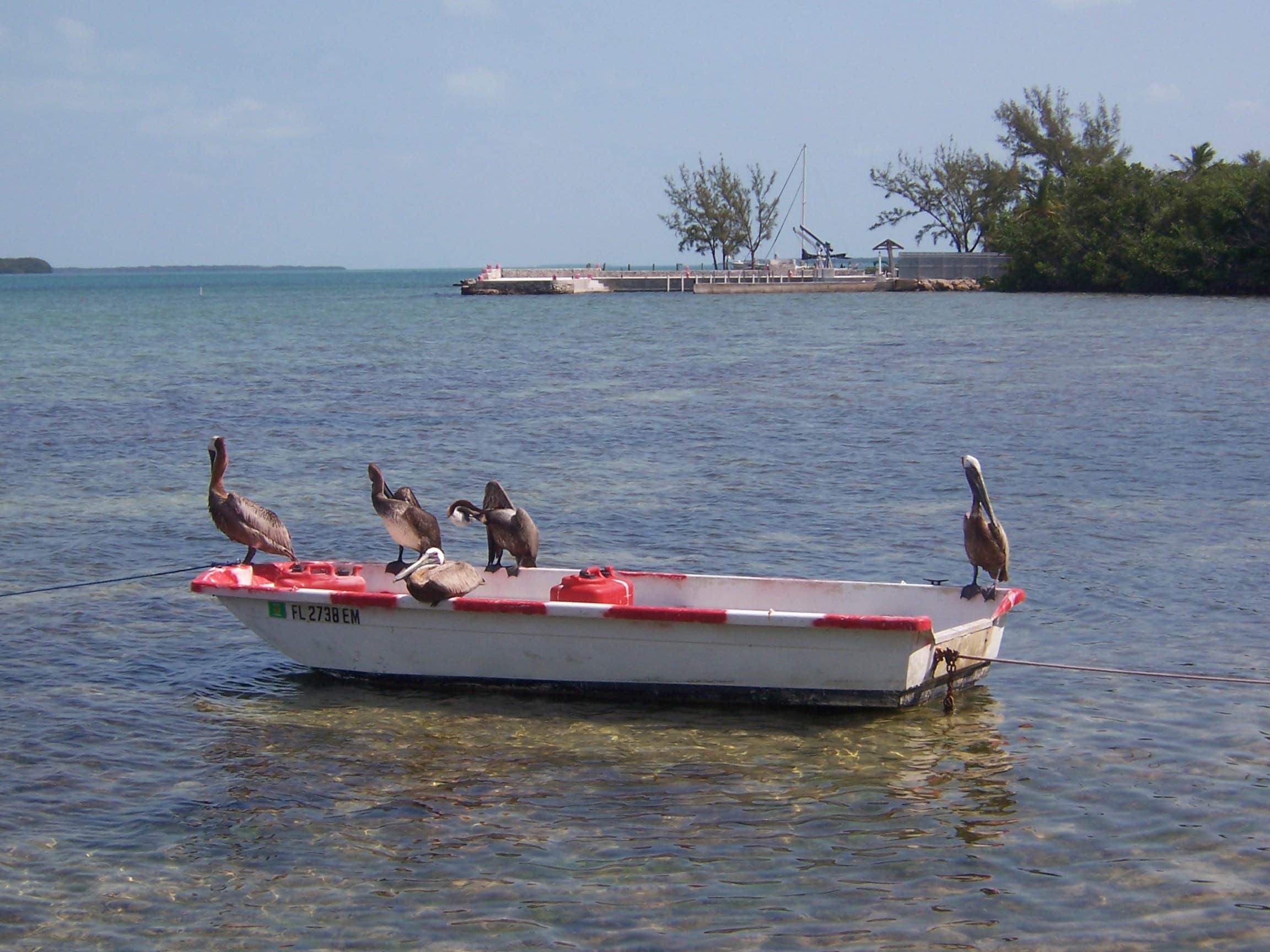 Camper-submitted photo at John Pennekamp Coral Reef State Park Campground near Biscayne National Park