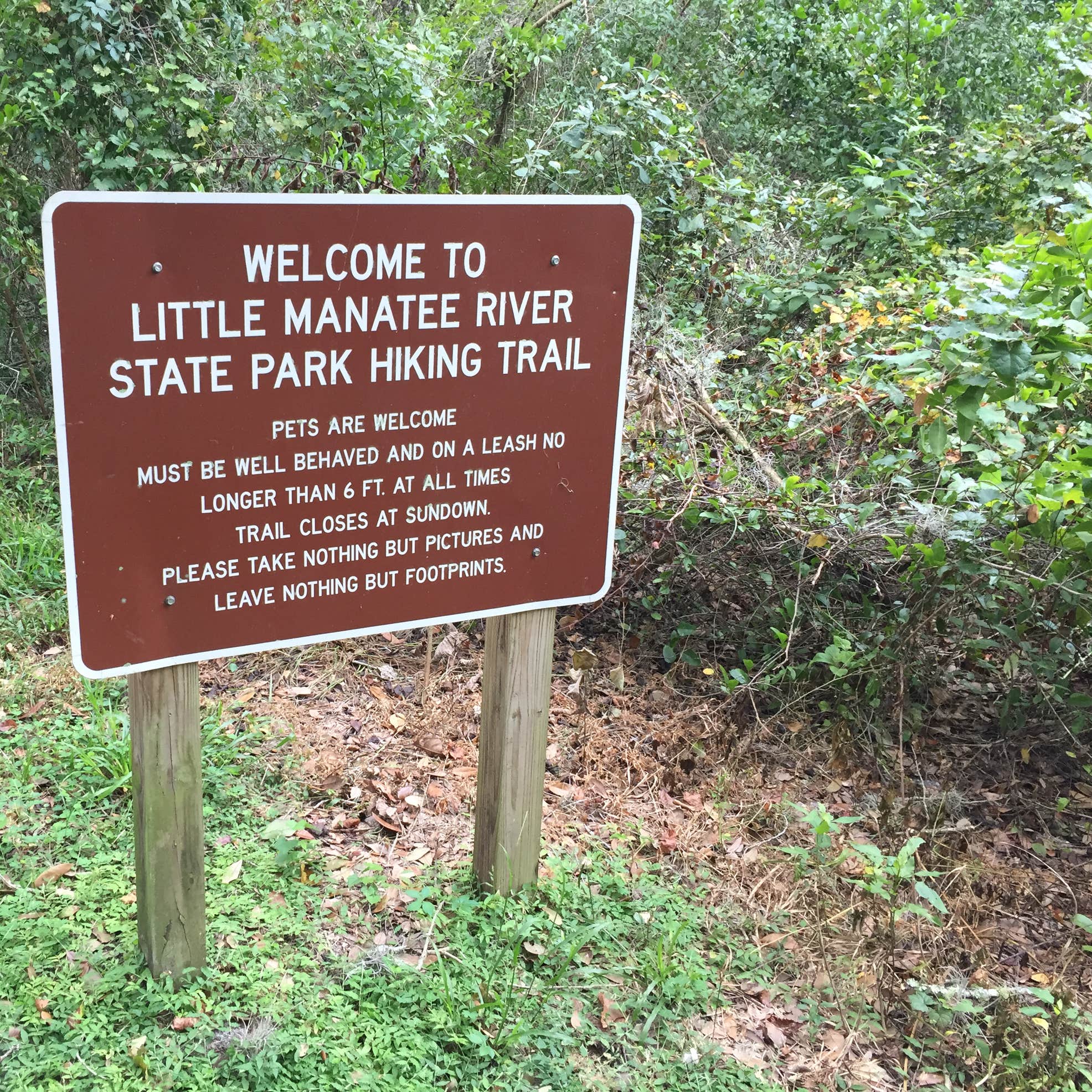 Little Manatee River State Park Camping | The Dyrt