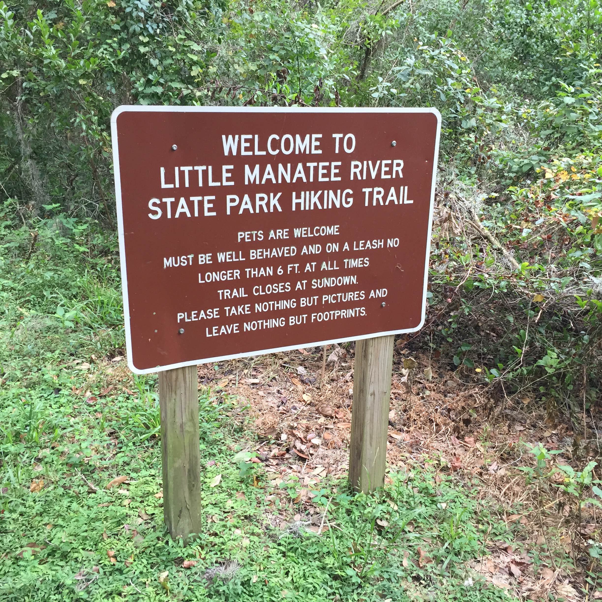 Escape to Serenity: Florida's Little Manatee River State Park Awaits