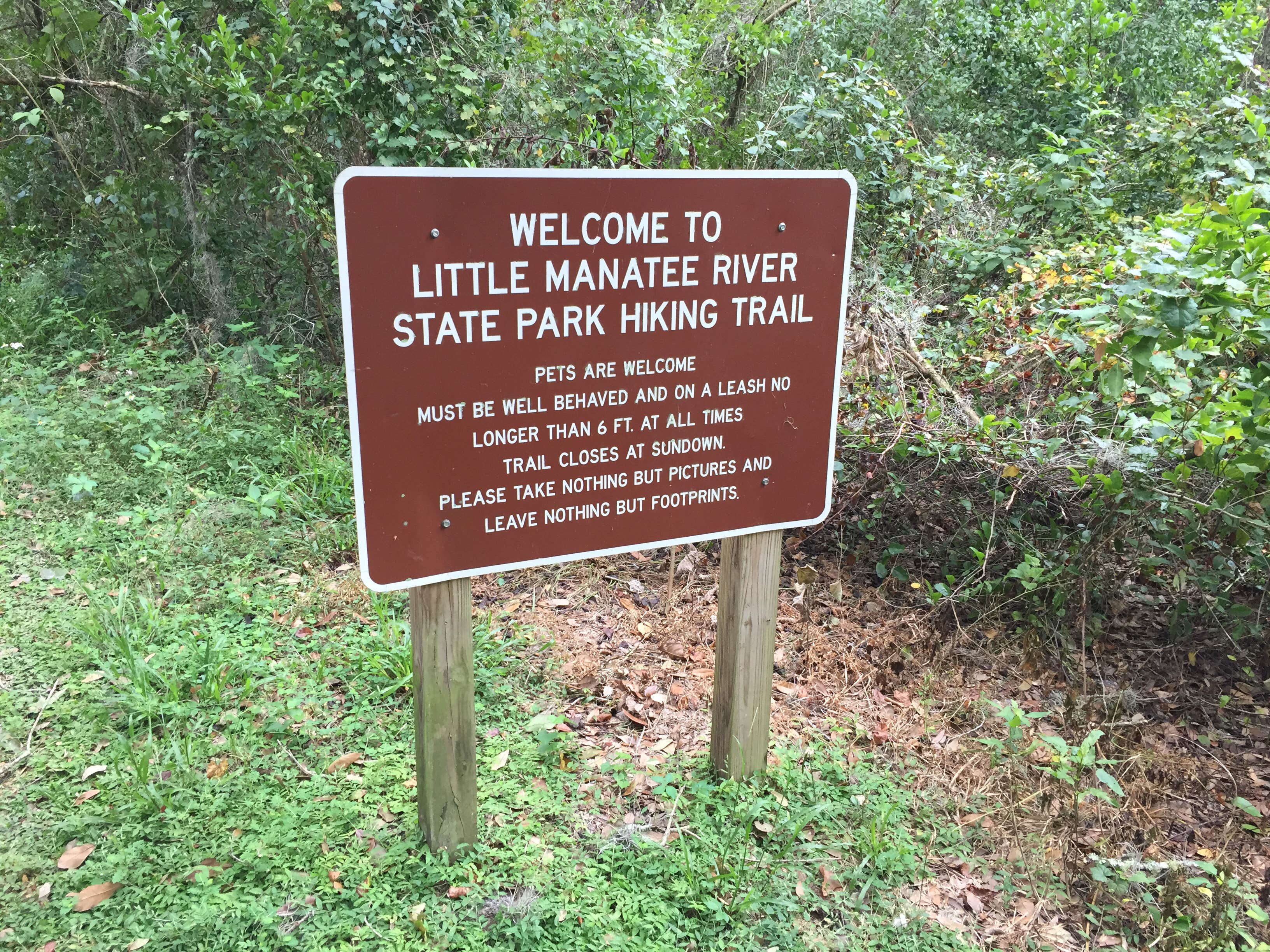 Camper submitted image from Little Manatee River State Park Campground - 2