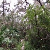 Review photo of Little Manatee River State Park Campground by Elizabeth G., October 8, 2017