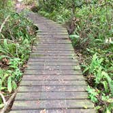 Review photo of Little Manatee River State Park Campground by Elizabeth G., October 8, 2017