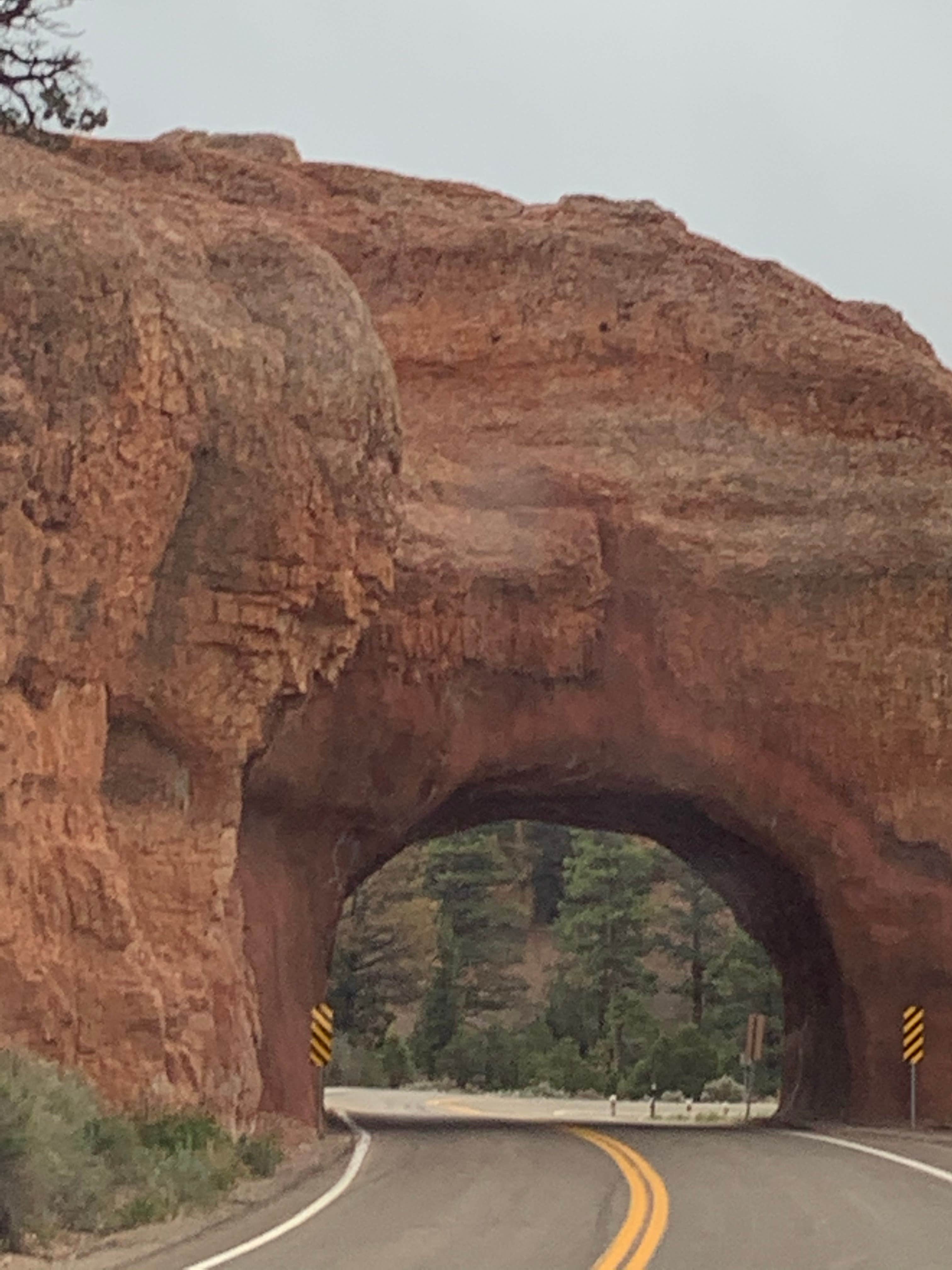 Camper submitted image from Bryce Canyon Pines Campground - 4