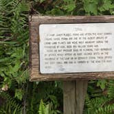 Review photo of Little Manatee River State Park Campground by Elizabeth G., October 8, 2017