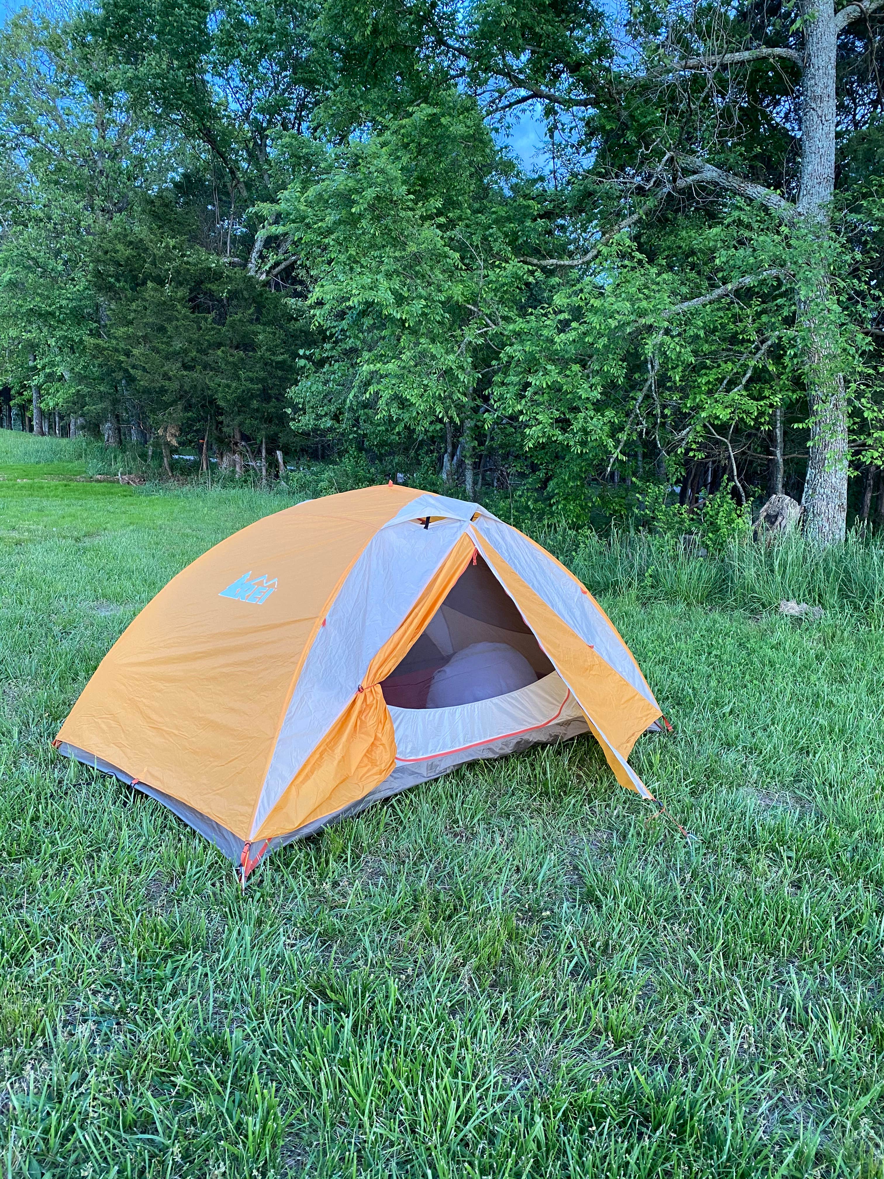 Camper submitted image from The Farm - Campground & Events - 4