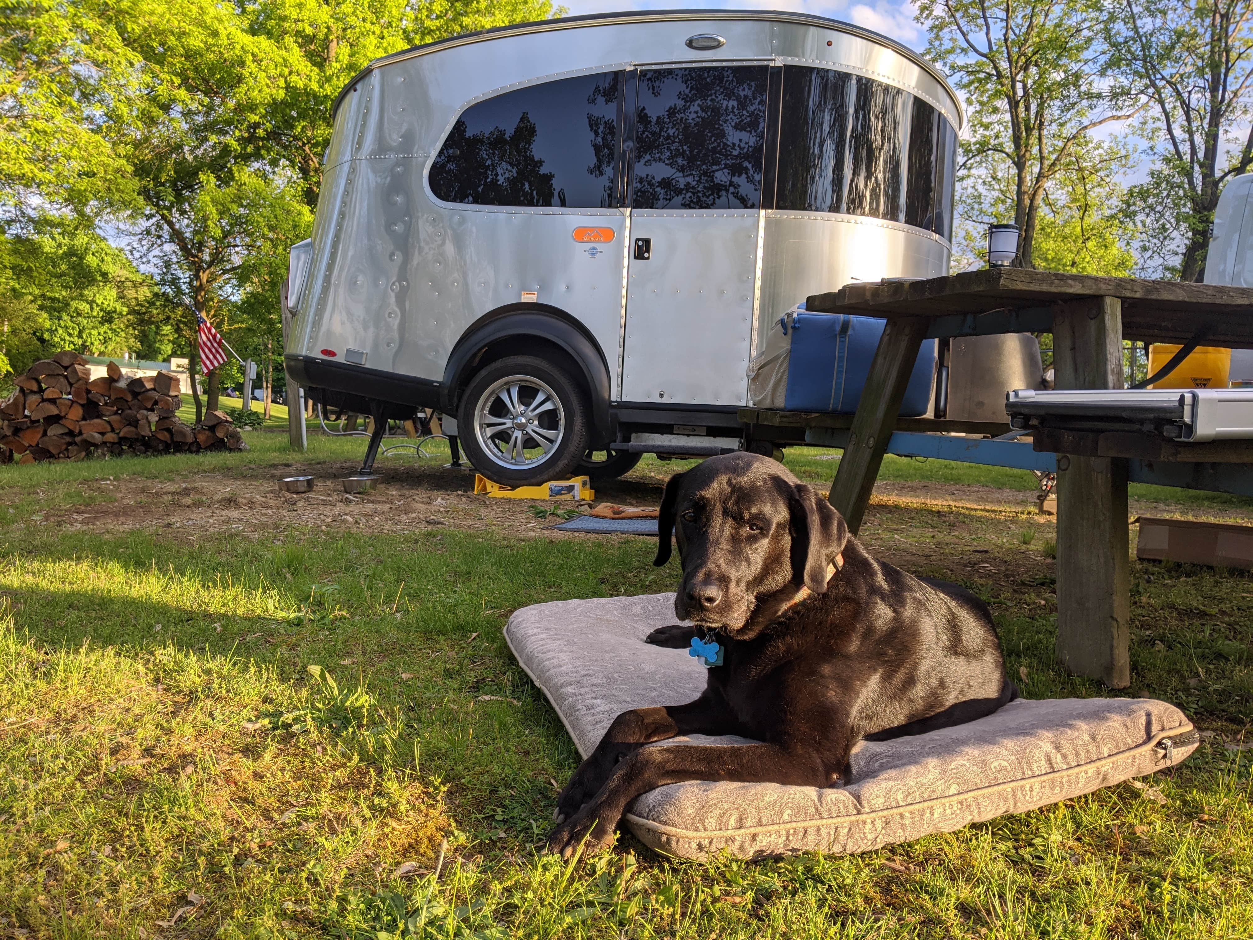 Monica F.'s photo of camping with pets at Charles Mill Lake Park Campground near Vermilion, OH