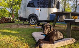 Monica F.'s photo of camping with pets at Charles Mill Lake Park Campground near Vermilion, OH