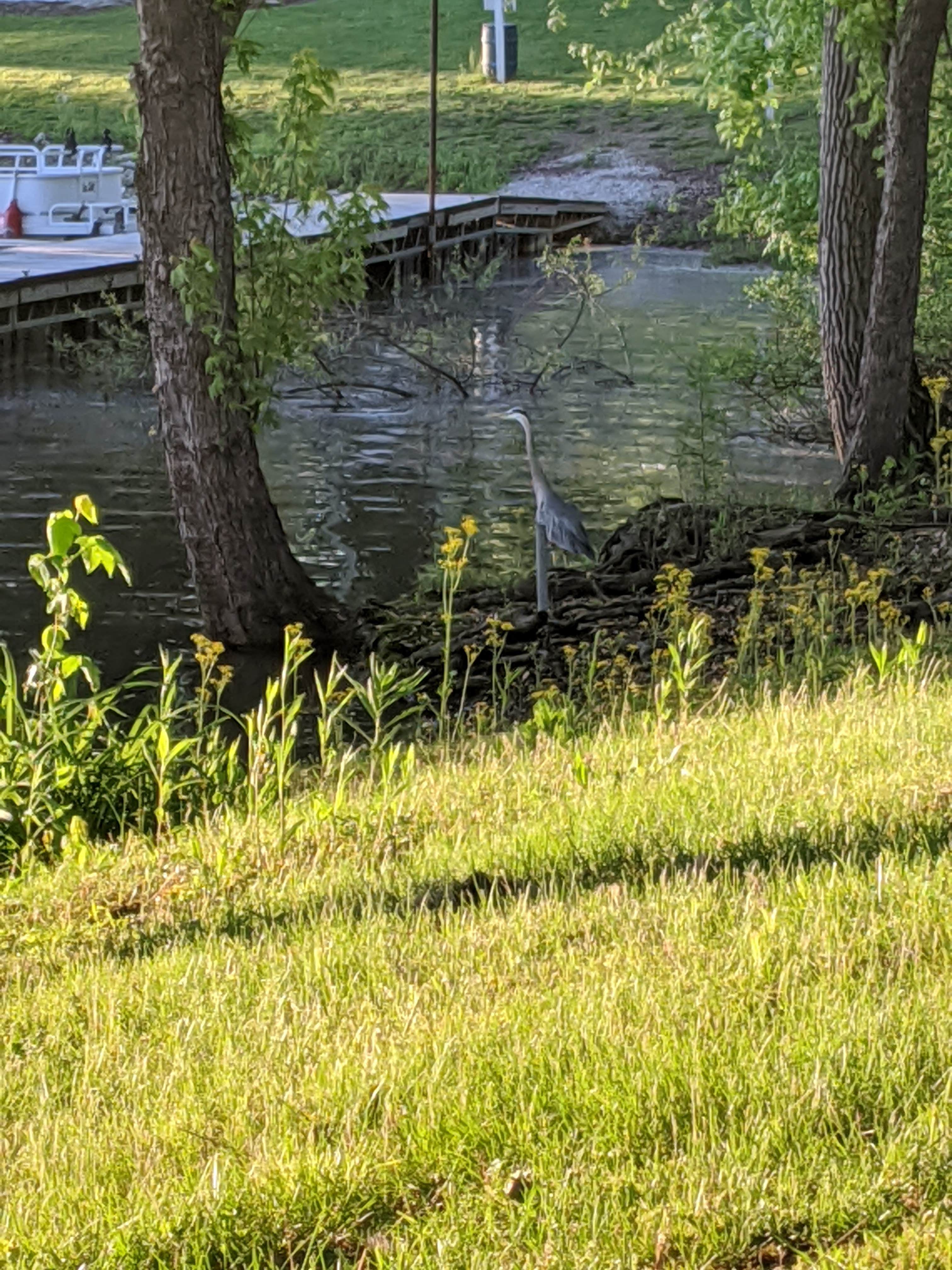 Charles Mill Lake Park The Dyrt