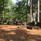 Review photo of Tall Pines Resort by Crystal C., May 31, 2020