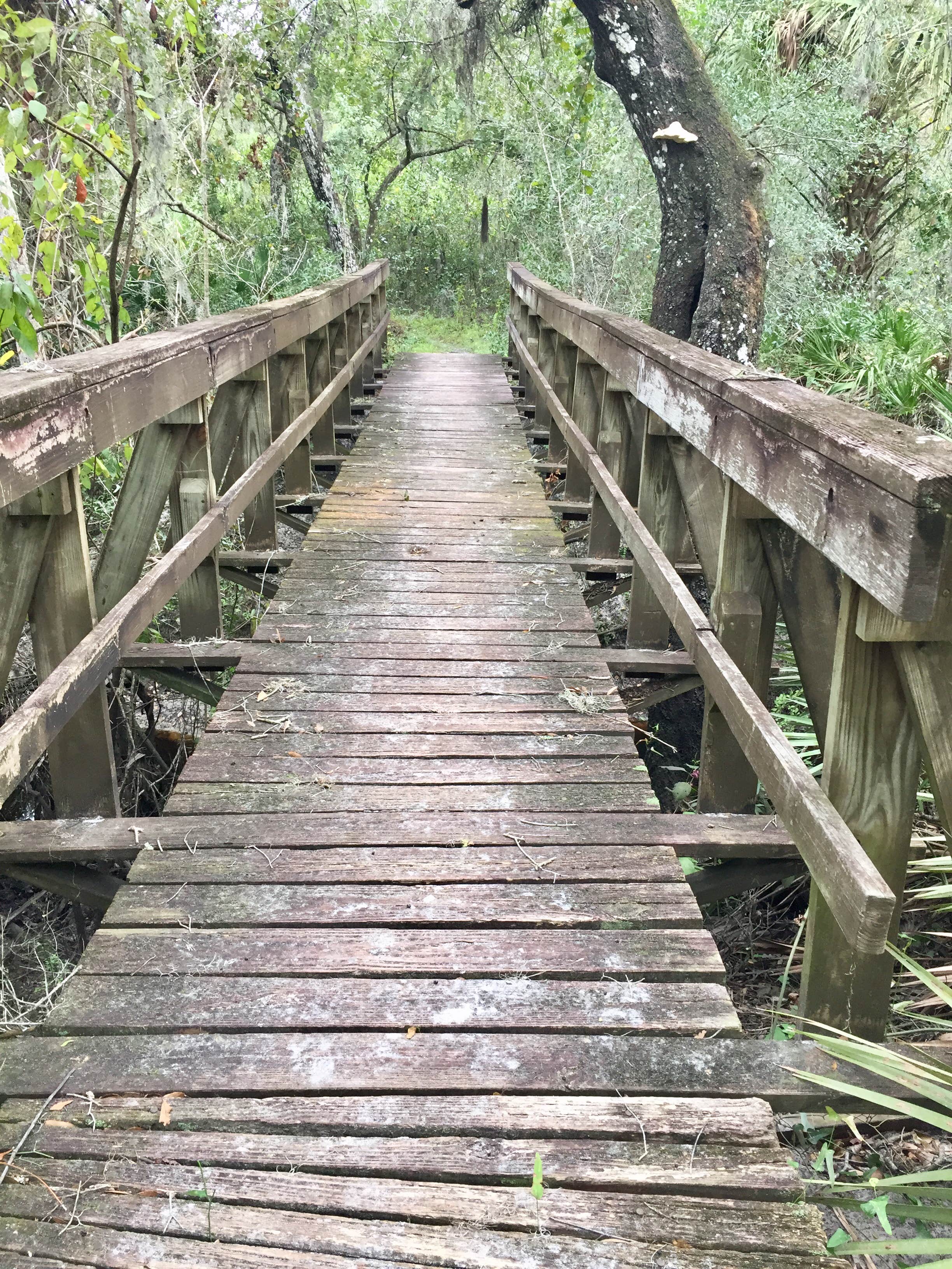 Camper submitted image from Little Manatee River State Park Campground - 4