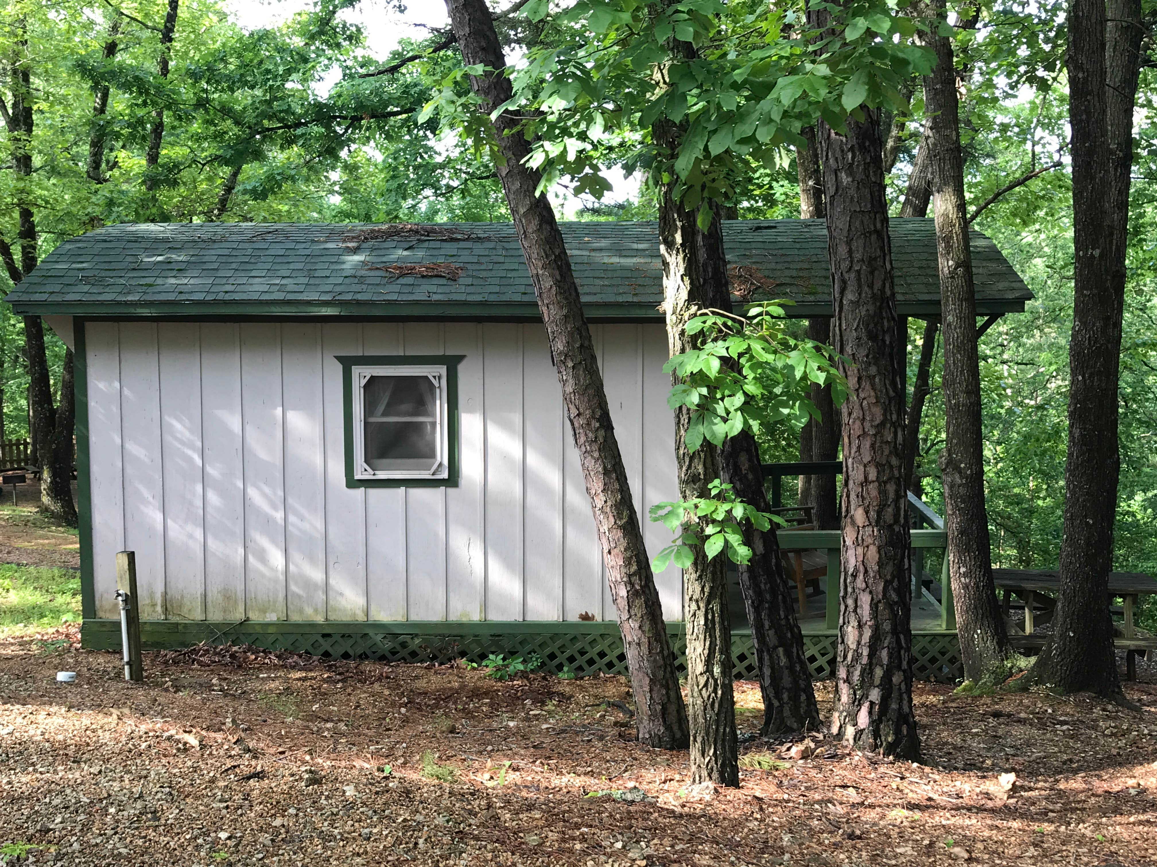 Crystal C.'s photo of a cabin at Tall Pines Resort near Berryville, AR
